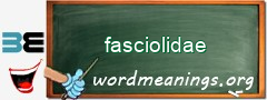 WordMeaning blackboard for fasciolidae